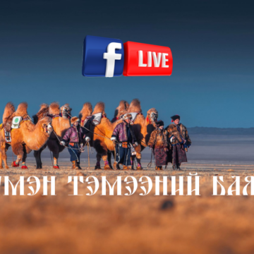 ШУУД: ТҮМЭН ТЭМЭЭНИЙ БАЯР 2025 ӨМНӨГОВЬ АЙМАГ