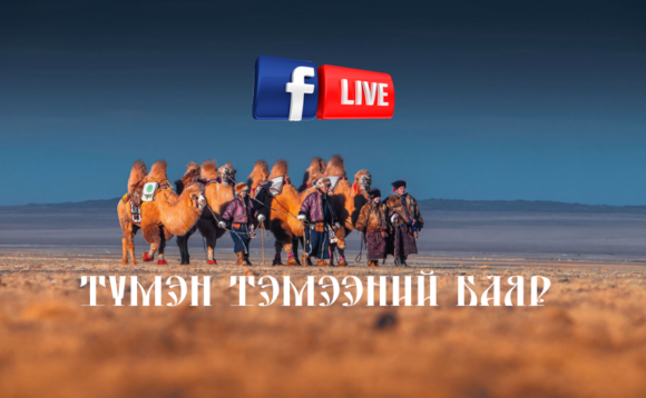 ШУУД: ТҮМЭН ТЭМЭЭНИЙ БАЯР 2025 ӨМНӨГОВЬ АЙМАГ