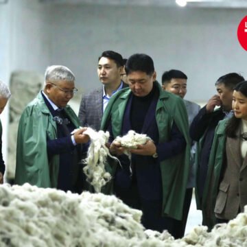 “Цагаан алт” хөтөлбөрийн үр дүнд анх удаа түүхий эдийн 50 хувийг дотоодын үйлдвэрлэгчид бэлтгэжээ.