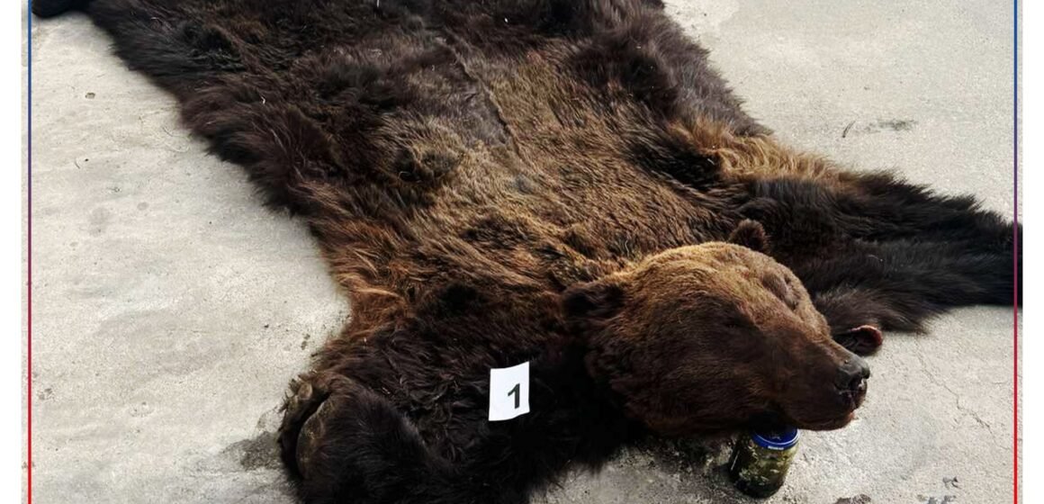 “Аянга-2025” тусгай арга хэмжээ зохион байгуулагдаж байна