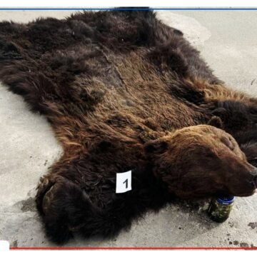 “Аянга-2025” тусгай арга хэмжээ зохион байгуулагдаж байна