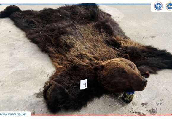 “Аянга-2025” тусгай арга хэмжээ зохион байгуулагдаж байна