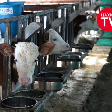 НЕБ-ын сургуулийн 189 мянган хүүхдийг сүү хөтөлбөрт хамруулахад үндэсний үйлдвэрлэгчидтэй хамтарна