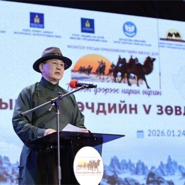 У.Хүрэлсүх: Тэмээ хоёр дахин өссөн нь малчид, тэмээчдийн нөр их хөдөлмөрийн үр дүн