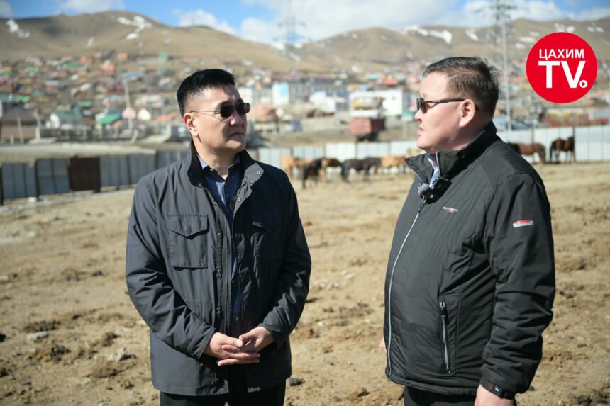 Нийслэлийн мал аж ахуй эрхлэхийг хориглосон бүсээс мал гаргах нэгдсэн арга хэмжээг зохион байгуулж байна